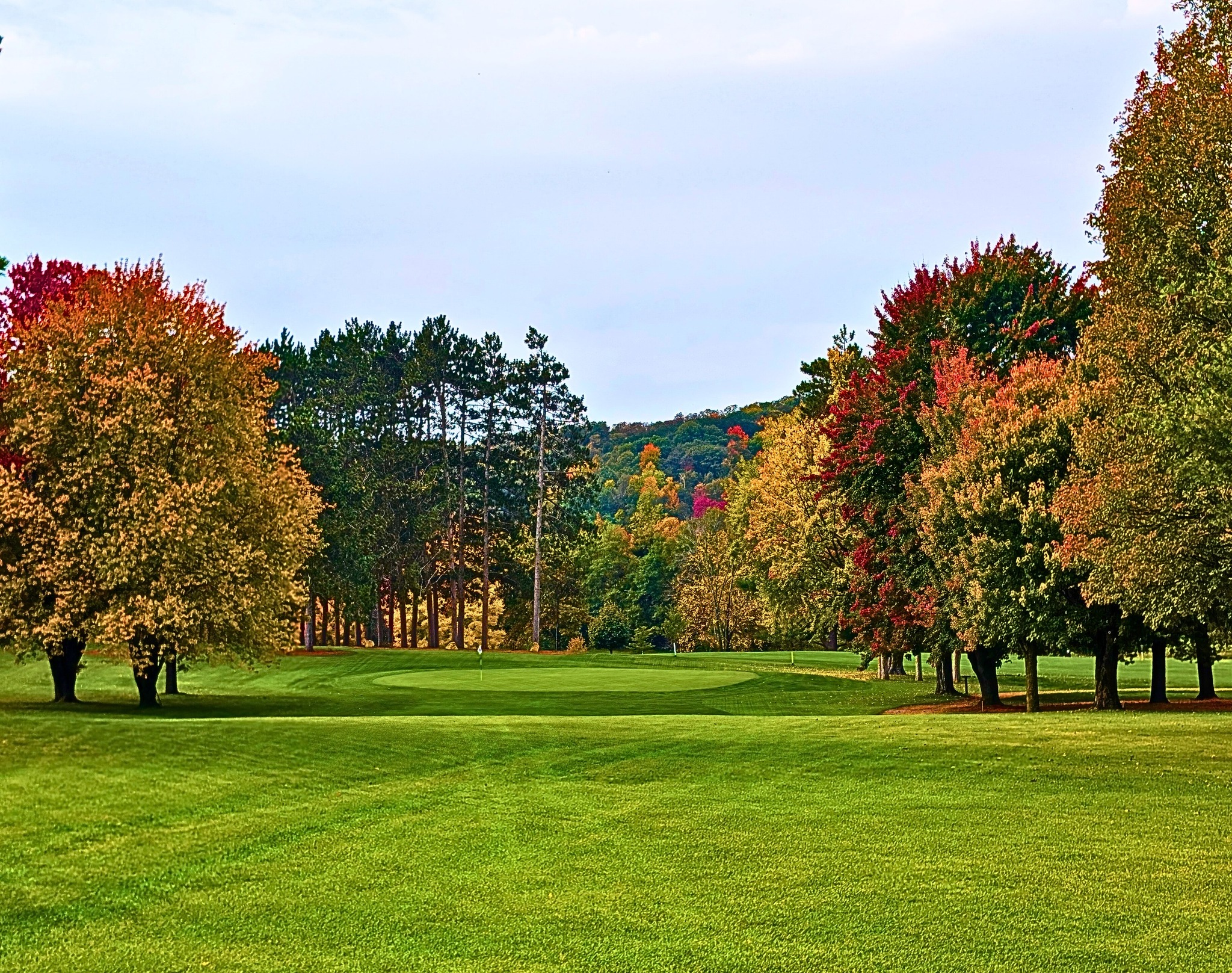 Image of golf ball on tee on grass.