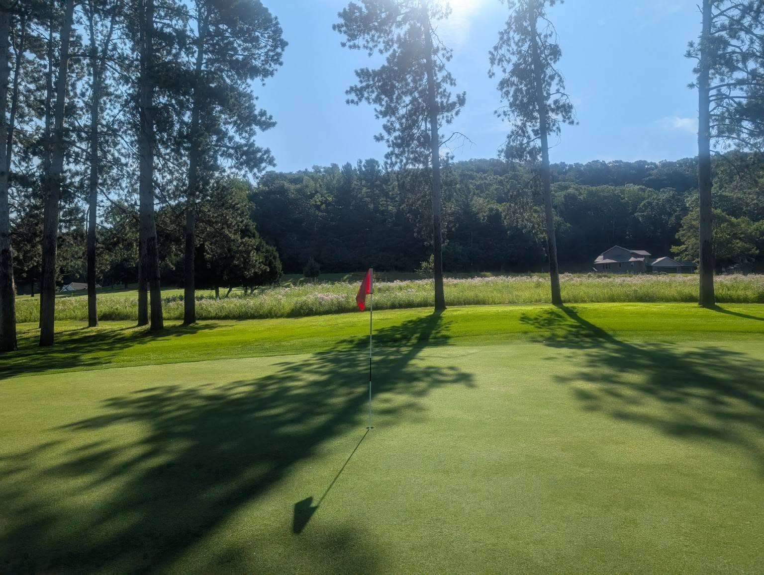 Golf course greens in the shade